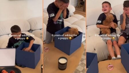 Wholesome California Boy Bursts into Tears of Joy After Getting Surprise Puppy: ‘The Older Bro With Tears Too… So Precious’ Wholesome California Boy Bursts into Tears of Joy After Getting Surprise Puppy 'The Older Bro With Tears Too… So Precious'