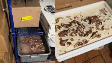North Carolina Man Shares Shocking Video Exposing Disgusting and Horrifying Conditions Inside Restaurant: ‘Call the Health Department Immediately’ A picture inside of the North Carolina restaurant.