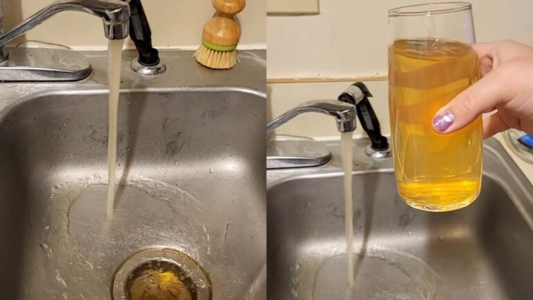 Disturbing Video Shows Michigan Woman’s Tap Water Coming Out Yellow: ‘America Is Such a Dumpster Fire’ A picture of the Michigan woman's tap water.