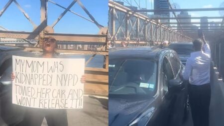 Insane New York Woman Blocks Brooklyn Bridge With Her Car to Ask People Where Is Her Mom: ‘I Would’ve Crashed Out So Badly’ A picture of the New York woman.
