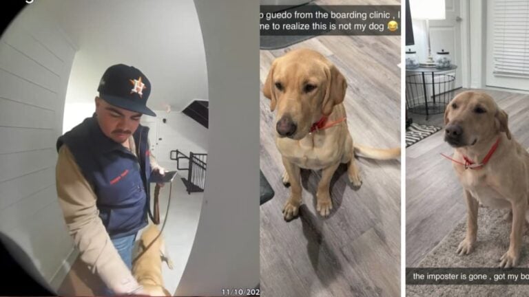 Texas Man Surprised After Realizing He Took Home the Wrong Dog from Day Care: ‘If I Was the Dog I’d Be Mad’ A picture of the Texas man and the dogs.