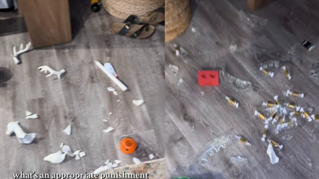 Heartbroken Texas Mom Seeks Parenting Advice After 3-Year-Old Son Destroys Table and Christmas Decor Over Toys: ‘Gentle Parenting Doesn’t Work!!!!’ A picture of the Texas mom's house.