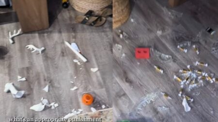 Heartbroken Texas Mom Seeks Parenting Advice After 3-Year-Old Son Destroys Table and Christmas Decor Over Toys: ‘Gentle Parenting Doesn’t Work!!!!’ A picture of the Texas mom's house.