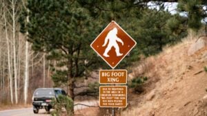 Bigfoot sighting in Pennsylvania